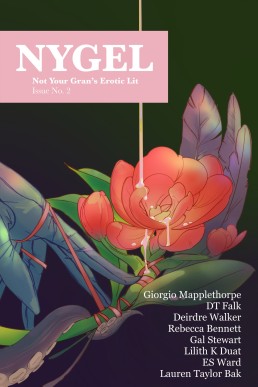 NYGEL: Issue 2: Not Your Gran's Erotic Lit