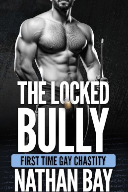 The Locked Bully (Gay Chastity Stories)