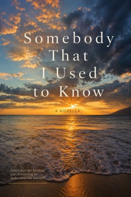 Somebody That I Used To Know