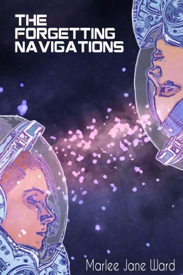 The Forgetting Navigations