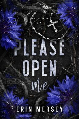 Please Open Me (The Unholy Series 3)
